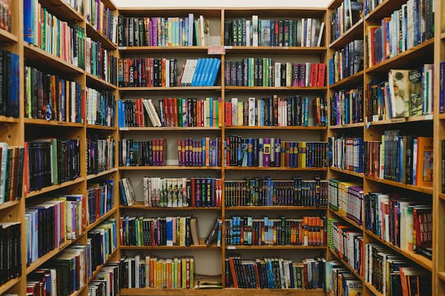 Bookshelves in a bookstore filled with young adult books.